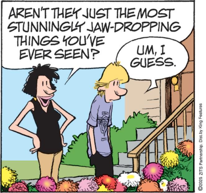 Publication OCR: AREN'T THEY JUST THE MOST STUNNINGLY JAW-DROPPING THINGS YOU'VE EVER SEEN? UMI GUESS. ©2025 ZITS Partnership. Dist. by King Features AREN'T THEY JUST THE MOST STUNNINGLY JAW - DROPPING THINGS YOU'VE EVER SEEN ? UMI GUESS . © 2025 ZITS Partnership . Dist . by King Features