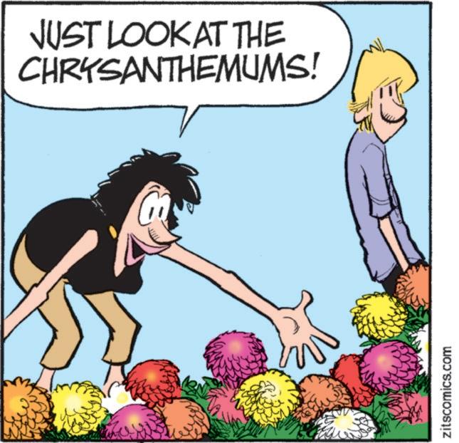 Graphics OCR: JUST LOOK AT THE CHRYSANTHEMUMS! zitscomics.com JUST LOOK AT THE CHRYSANTHEMUMS ! zitscomics.com