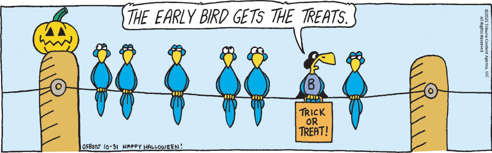 Bird OCR: THE EARLY BIRD GETS THE TREATS. OSBUN 10-31 HAPPY HALLOWEEN! B TRICK OR TREAT! All Rights Reserved 2025 Tribune Content AgencyLLC THE EARLY BIRD GETS THE TREATS . OSBUN 10-31 HAPPY HALLOWEEN ! B TRICK OR TREAT ! All Rights Reserved 2025 Tribune Content Agency