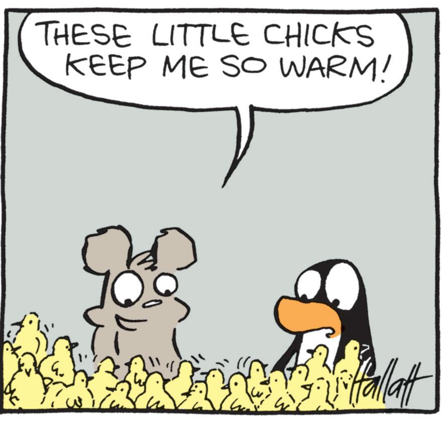 Fiction OCR: THESE LITTLE CHICKS KEEP ME SO WARM! Vitallat THESE LITTLE CHICKS KEEP ME SO WARM ! Vitallat