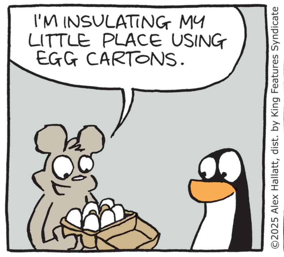 Fiction OCR: I'M INSULATING MY LITTLE PLACE USING EGG CARTONS. ©2025 Alex Hallattdist. by King Features Syndicate I'M INSULATING MY LITTLE PLACE USING EGG CARTONS . © 2025 Alex Hallattdist . by King Features Syndicate