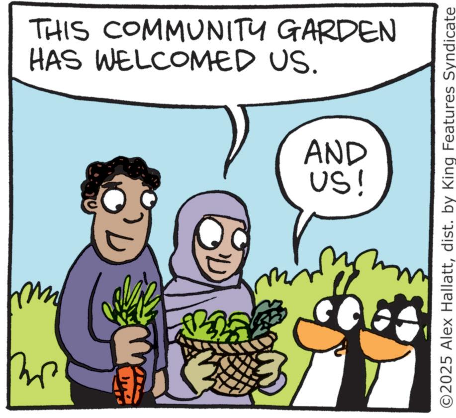 Fiction OCR: Be ??? ? THIS COMMUNITY GARDEN HAS WELCOMED US. AND US! ©2025 Alex Hallattdist. by King Features Syndicate Be ??? ? THIS COMMUNITY GARDEN HAS WELCOMED US . AND US ! © 2025 Alex Hallattdist . by King Features Syndicate