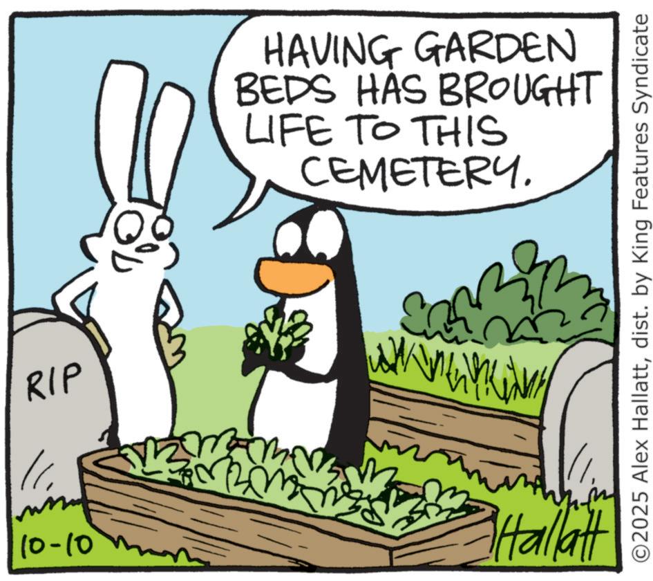 Photo caption OCR: RIP 10-10mm HAVING GARDEN BEDS HAS BROUGHT LIFE TO THIS CEMETERY. ©2025 Alex Hallattdist. by King Features Syndicate h www Fallatt RIP 10-10mm HAVING GARDEN BEDS HAS BROUGHT LIFE TO THIS CEMETERY . © 2025 Alex Hallattdist . by King Features Syndicate h www Fallatt
