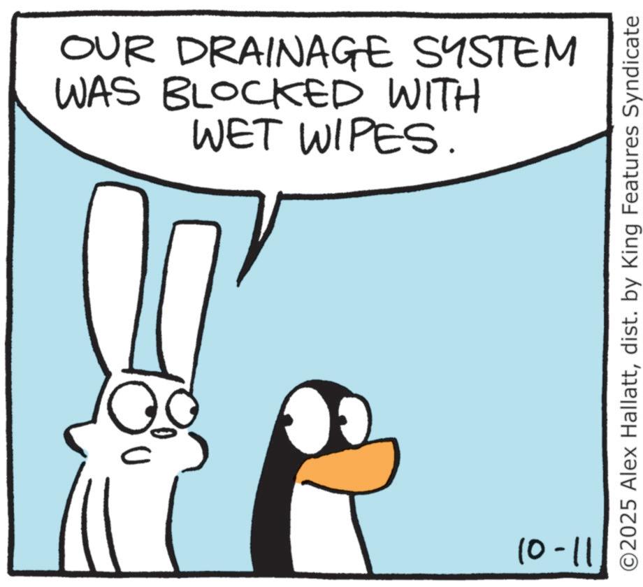 Graphics OCR: OUR DRAINAGE SYSTEM WAS BLOCKED WITH WET WIPES. 10-11 ©2025 Alex Hallattdist. by King Features Syndicate OUR DRAINAGE SYSTEM WAS BLOCKED WITH WET WIPES . 10-11 © 2025 Alex Hallattdist . by King Features Syndicate