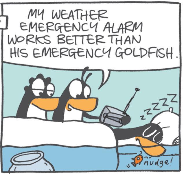 Animated cartoon OCR: MY WEATHER EMERGENCY ALARM WORKS BETTER THAN HIS EMERGENCY GOLDFISH. S O nudge! MY WEATHER EMERGENCY ALARM WORKS BETTER THAN HIS EMERGENCY GOLDFISH . S O nudge !