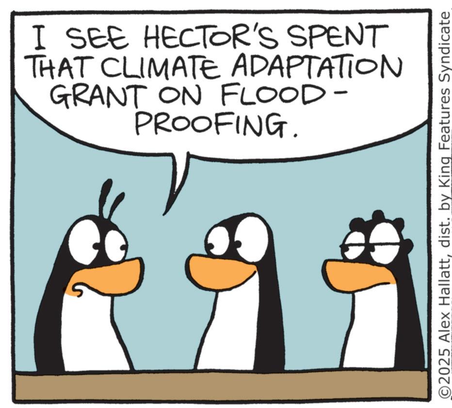 Animated cartoon OCR: I SEE HECTOR'S SPENT THAT CLIMATE ADAPTATION GRANT ON FLOOD- PROOFING. O2025 Alex Hallattdist. by King Features Syndicate I SEE HECTOR'S SPENT THAT CLIMATE ADAPTATION GRANT ON FLOOD- PROOFING . O2025 Alex Hallattdist . by King Features Syndicate