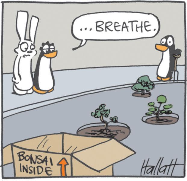 Fiction OCR: BONSAI INSIDE BREATHE Hallatt BONSAI INSIDE BREATHE Hallatt