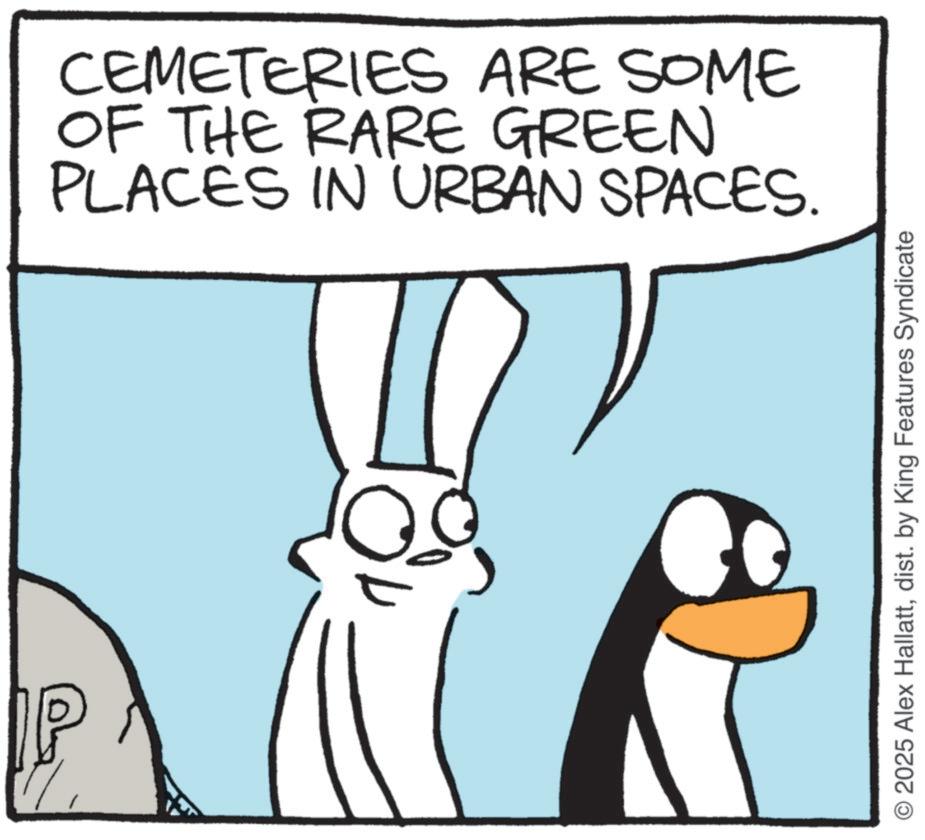 Animation OCR: IP CEMETERIES ARE SOME OF THE RARE GREEN PLACES IN URBAN SPACES. 2025 Alex Hallattdist. by King Features Syndicate IP CEMETERIES ARE SOME OF THE RARE GREEN PLACES IN URBAN SPACES . 2025 Alex Hallattdist . by King Features Syndicate