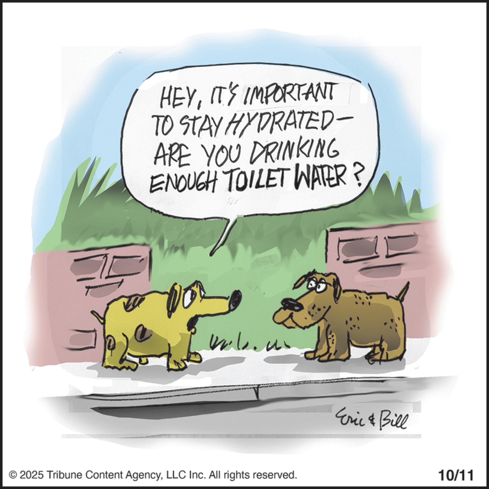 Fiction OCR: HEYIT'S IMPORTANT TO STAY HYDRATED- ARE YOU DRINKING ENOUGH TOILET WATER? © 2025 Tribune Content AgencyLLC Inc. All rights reserved. Eric & Bill 10/11 HEYIT'S IMPORTANT TO STAY HYDRATED- ARE YOU DRINKING ENOUGH TOILET WATER ? © 2025 Tribune Content AgencyLLC Inc. All rights reserved . Eric & Bill 10/11