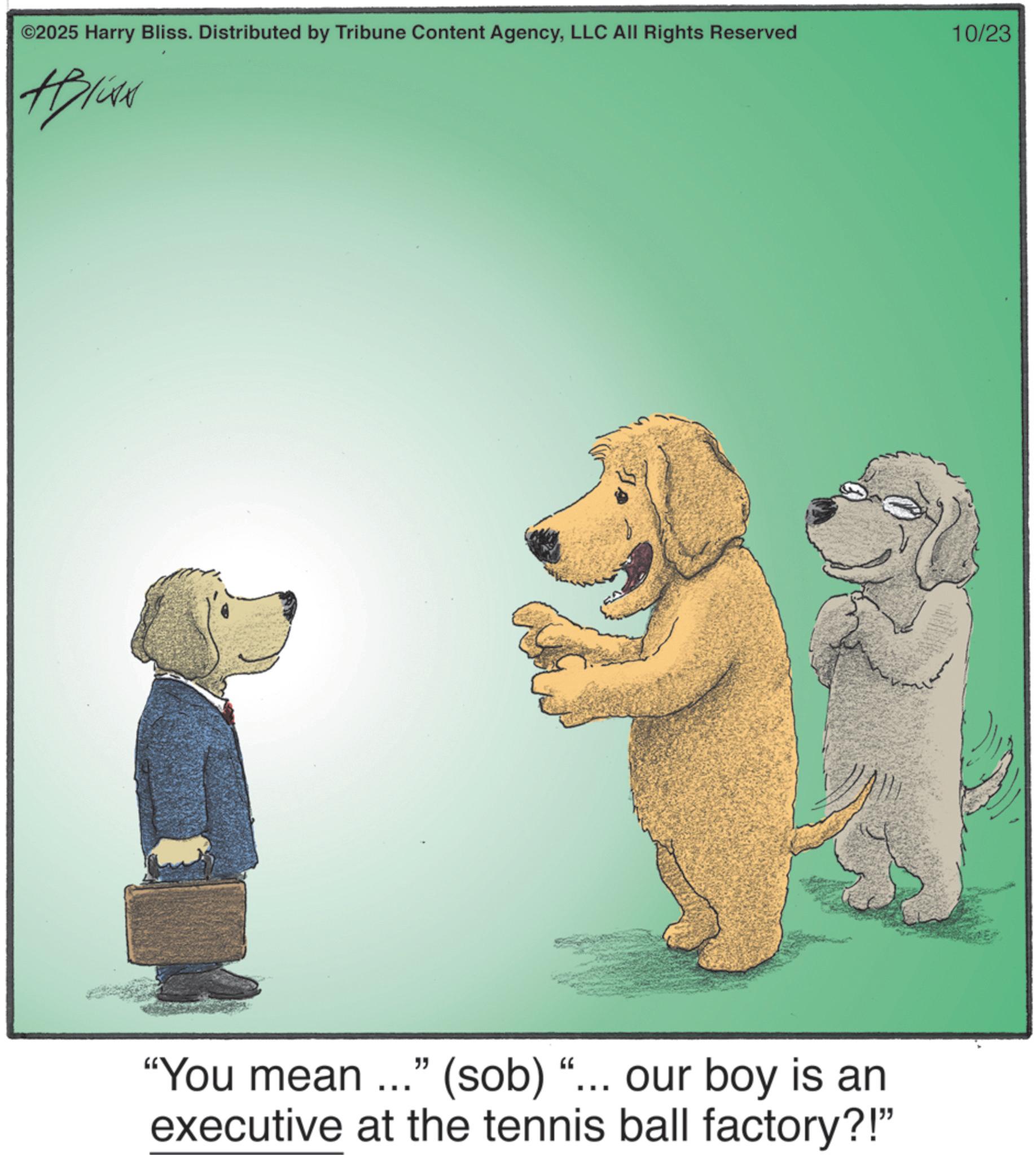 Toy dog OCR: ©2025 Harry Bliss. Distributed by Tribune Content AgencyLLC All Rights Reserved HP/WA "You mean ..." (sob) "... our boy is an executive at the tennis ball factory?!" 10/23 © 2025 Harry Bliss . Distributed by Tribune Content AgencyLLC All Rights Reserved HP / WA " You mean ... " ( sob ) " ... our boy is an executive at the tennis ball factory ?! " 10/23