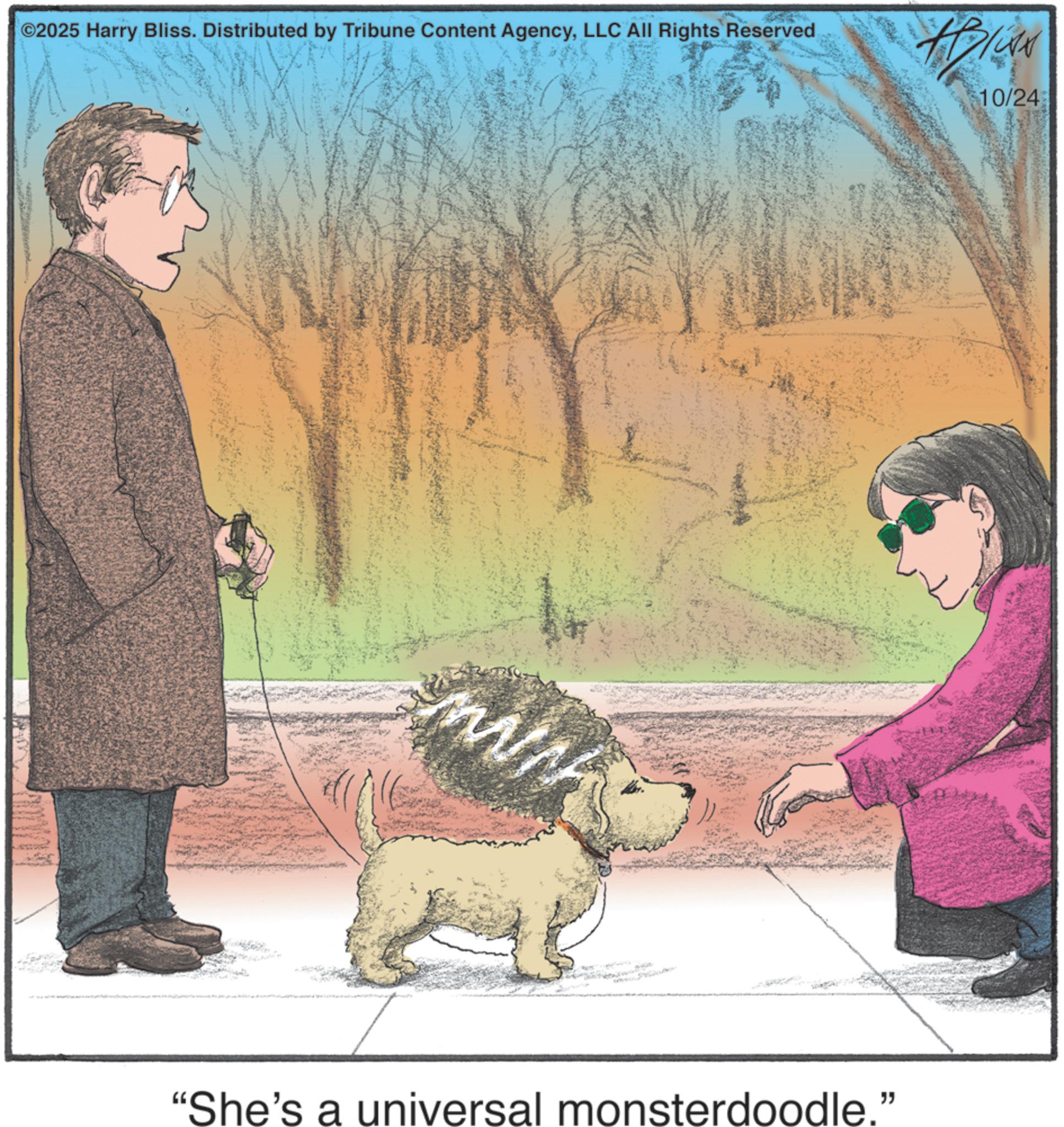 Otterhound OCR: ©2025 Harry Bliss. Distributed by Tribune Content AgencyLLC All Rights Reserved www. "She's a universal monsterdoodle." 10/24 © 2025 Harry Bliss . Distributed by Tribune Content AgencyLLC All Rights Reserved www . " She's a universal monsterdoodle . " 10/24