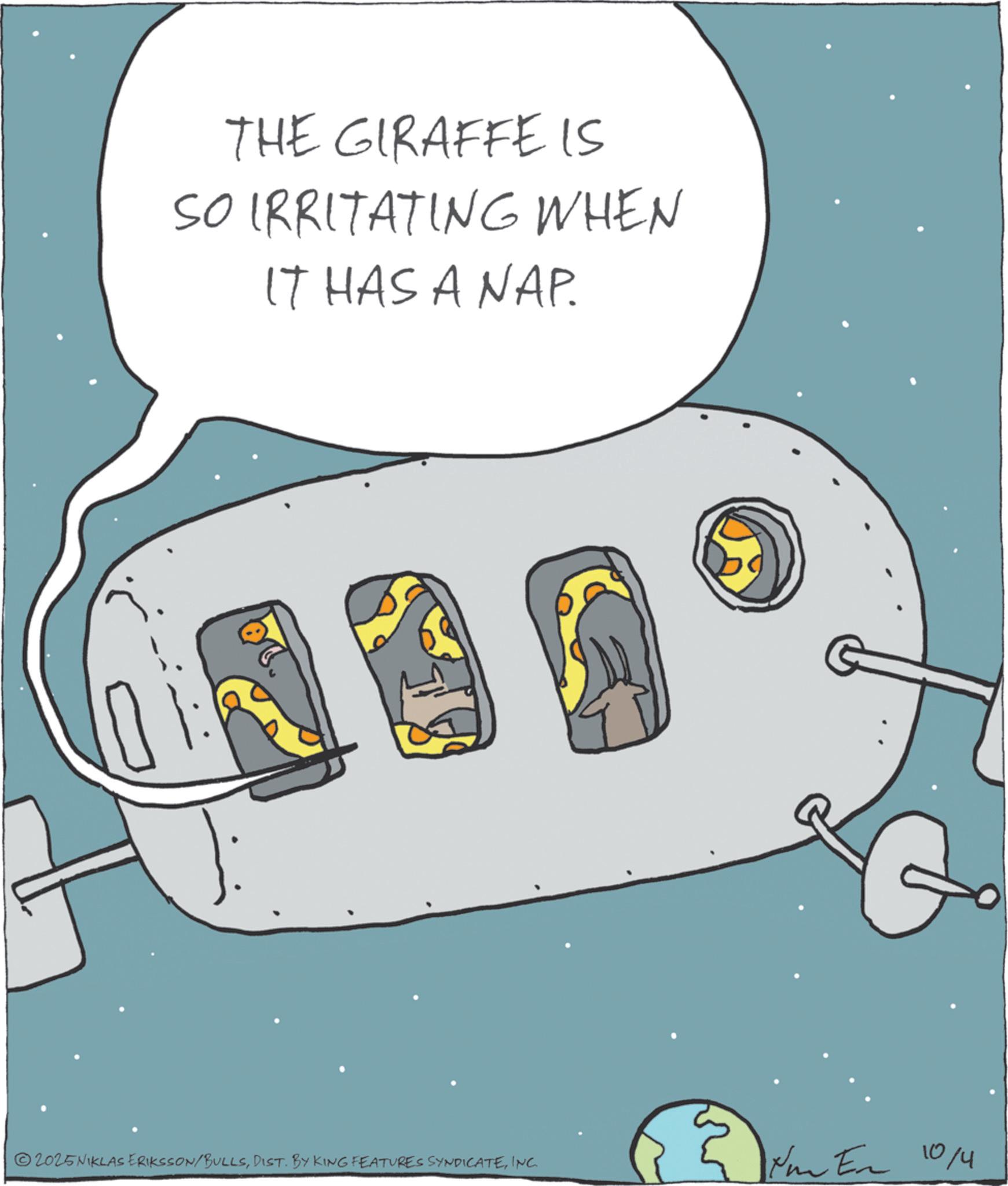 Science OCR: THE GIRAFFE IS SO IRRITATING WHEN IT HAS A NAP. 2025NIKLAS ERIKSSON/BULLSINC. No Fre 10/4 THE GIRAFFE IS SO IRRITATING WHEN IT HAS A NAP . 2025NIKLAS ERIKSSON / BULLSDIST . BY KING FEATURES SYNDICATEINC . No Fre 10/4