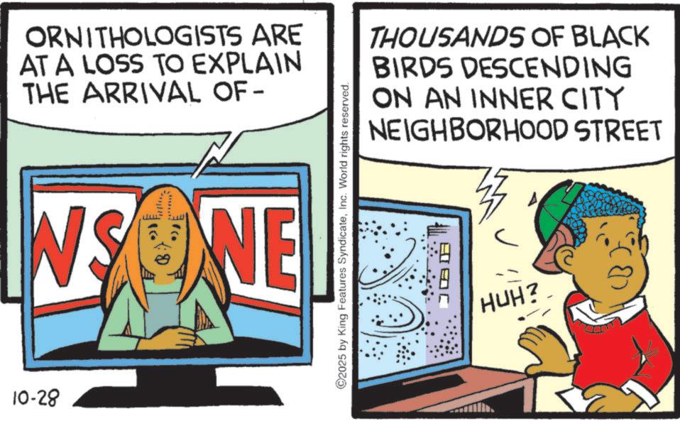 Graphics OCR: ORNITHOLOGISTS ARE AT A LOSS TO EXPLAIN THE ARRIVAL OF- INSONE WE 10-28 2025 by King Features SyndicateInc. World rights reserved. THOUSANDS OF BLACK BIRDS DESCENDING ON AN INNER CITY NEIGHBORHOOD STREET ?? HUH? ORNITHOLOGISTS ARE AT A LOSS TO EXPLAIN THE ARRIVAL OF- INSONE WE 10-28 2025 by King Features SyndicateInc. World rights reserved . THOUSANDS OF BLACK BIRDS DESCENDING ON AN INNER CITY NEIGHBORHOOD STREET ? ? HUH ?
