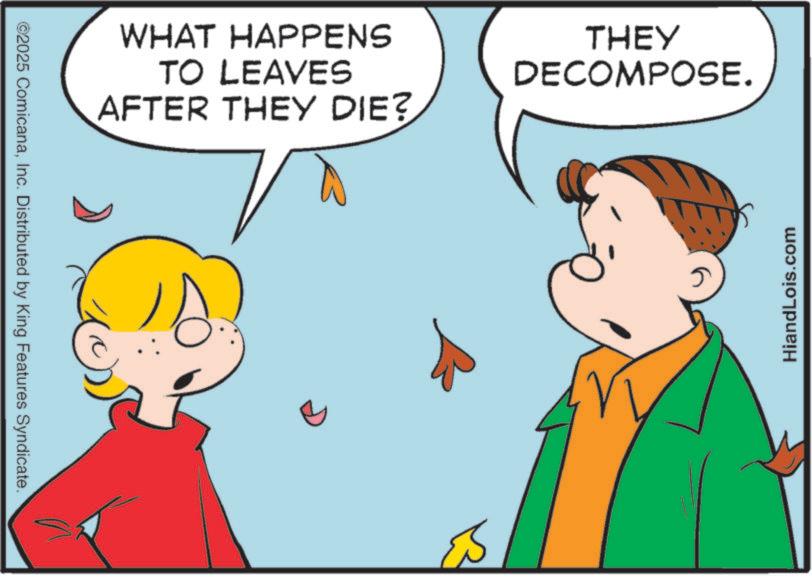 Sharing OCR: ©2025 ComicanaInc. Distributed by King Features Syndicate. WHAT HAPPENS TO LEAVES AFTER THEY DIE? THEY DECOMPOSE. HiandLois.com © 2025 ComicanaInc. Distributed by King Features Syndicate . WHAT HAPPENS TO LEAVES AFTER THEY DIE ? THEY DECOMPOSE . HiandLois.com