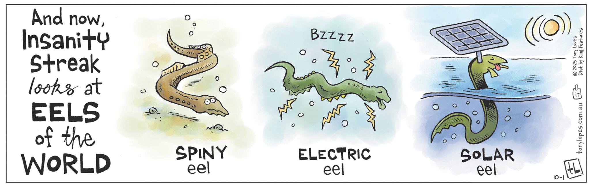 Science OCR: And nowInsanity Streak looks at EELS of the WORLD 000 BZZZZ 47° SPINY eel ELECTRIC eel SOLAR eel 10-1 (()) 2025 Tony Lopes Dist. by King Features tonylopes.com.au ? And nowInsanity Streak looks at EELS of the WORLD 000 BZZZZ 47 ° SPINY eel ELECTRIC eel SOLAR eel 10-1 ( ( ) ) 2025 Tony Lopes Dist . by King Features tonylopes.com.au ?