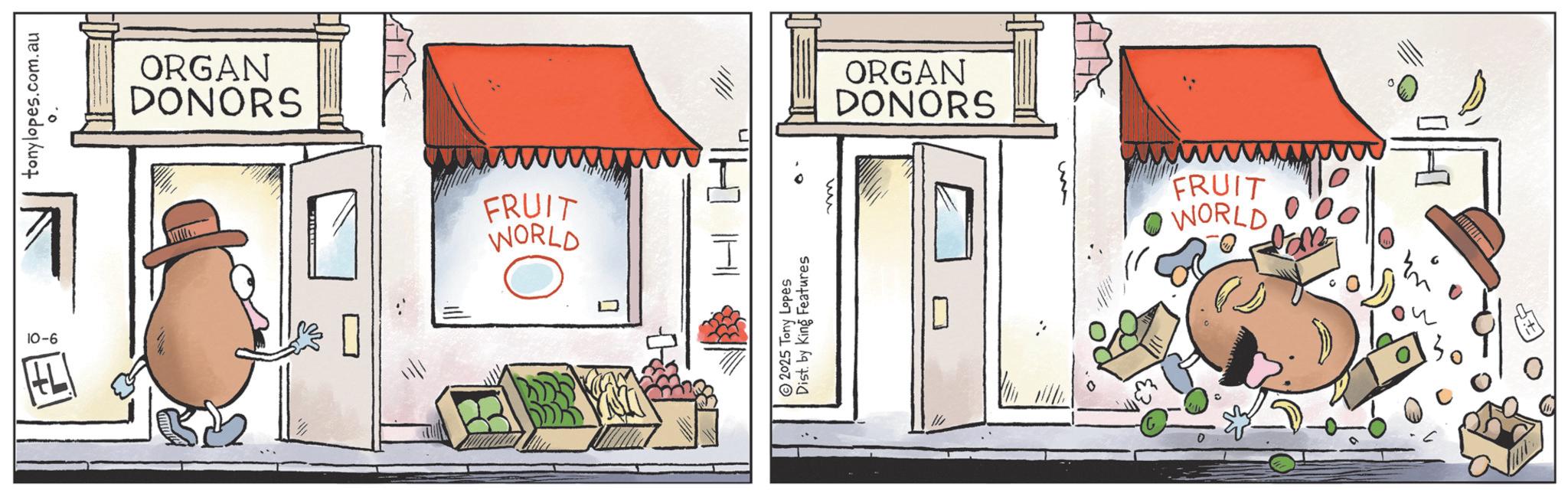 Fiction OCR: tonylopes.com.au °. 10-6 ORGAN DONORS FRUIT WORLD THI 2025 Tony Lopes Dist. by King Features ?? ORGAN DONORS FRUIT WORLD tonylopes.com.au ° . 10-6 ORGAN DONORS FRUIT WORLD THI 2025 Tony Lopes Dist . by King Features ?? ORGAN DONORS FRUIT WORLD