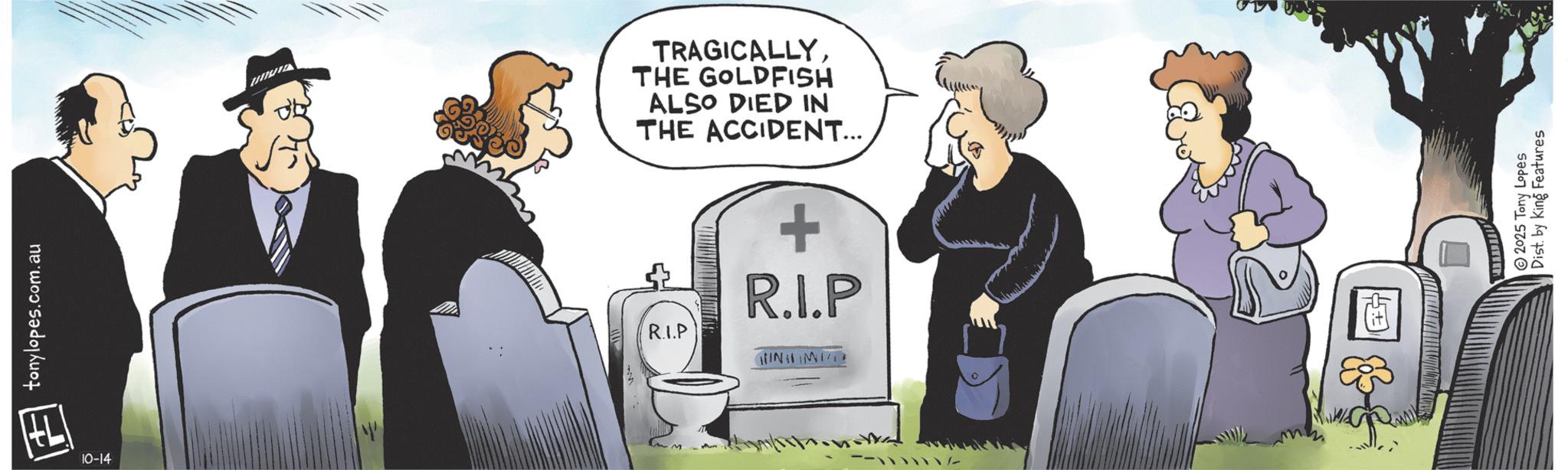 Photo caption OCR: tonylopes.com.au 10-14 TRAGICALLYTHE GOLDFISH ALSO DIED IN THE ACCIDENT... + R.I.P + R.I.P INMI & 2025 Tony Lopes Dist. by King Features tonylopes.com.au 10-14 TRAGICALLYTHE GOLDFISH ALSO DIED IN THE ACCIDENT ... + R.I.P + R.I.P INMI & 2025 Tony Lopes Dist . by King Features
