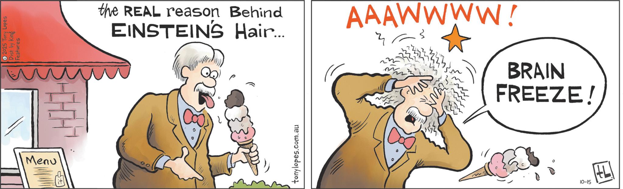 Clip art OCR: • 2025 Tony Lopes Dist by King Features the REAL reason Behind EINSTEIN'S Hair... Menu 00 tonylopes.com.au AAAWWWW! BRAIN FREEZE! 10-15 • 2025 Tony Lopes Dist by King Features the REAL reason Behind EINSTEIN'S Hair ... Menu 00 tonylopes.com.au AAAWWWW ! BRAIN FREEZE ! 10-15