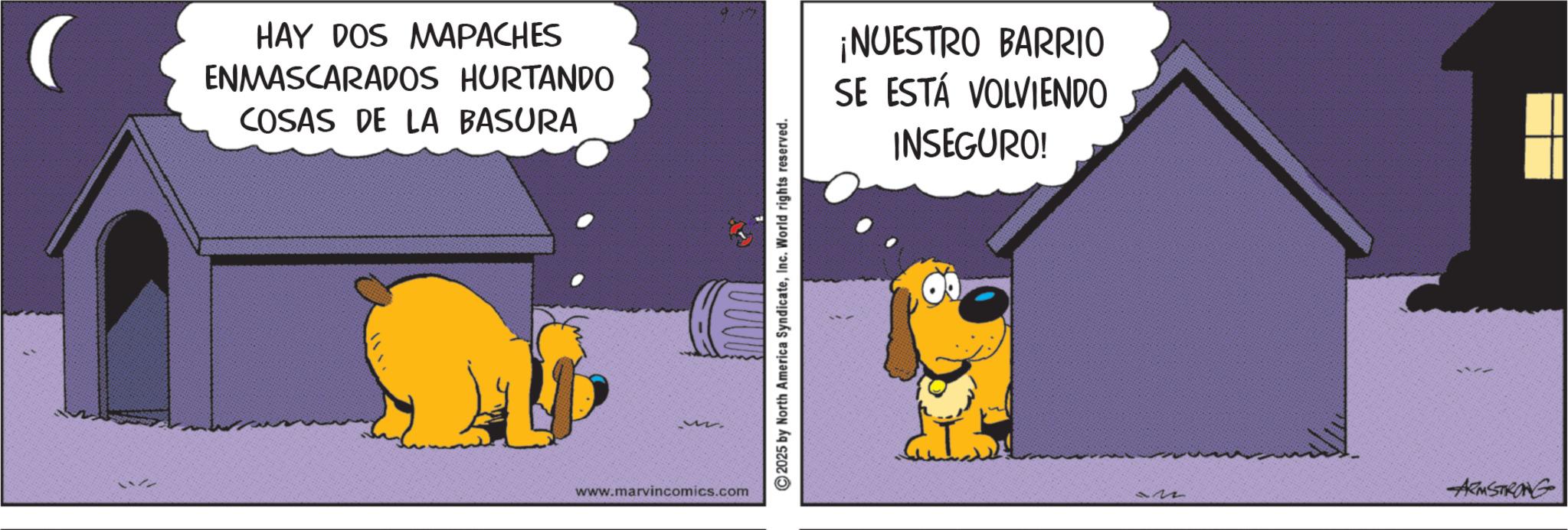 Canidae OCR: HAY DOS MAPACHES ENMASCARADOS HURTANDO COSAS DE LA BASURA www.marvincomics.com 2025 by North America SyndicateInc. World rights reserved. ¡NUESTRO BARRIO SE ESTÁ VOLVIENDO INSEGURO! D ARMSTRONG HAY DOS MAPACHES ENMASCARADOS HURTANDO COSAS DE LA BASURA www.marvincomics.com 2025 by North America SyndicateInc. World rights reserved . ¡ NUESTRO BARRIO SE ESTÁ VOLVIENDO INSEGURO ! D ARMSTRONG