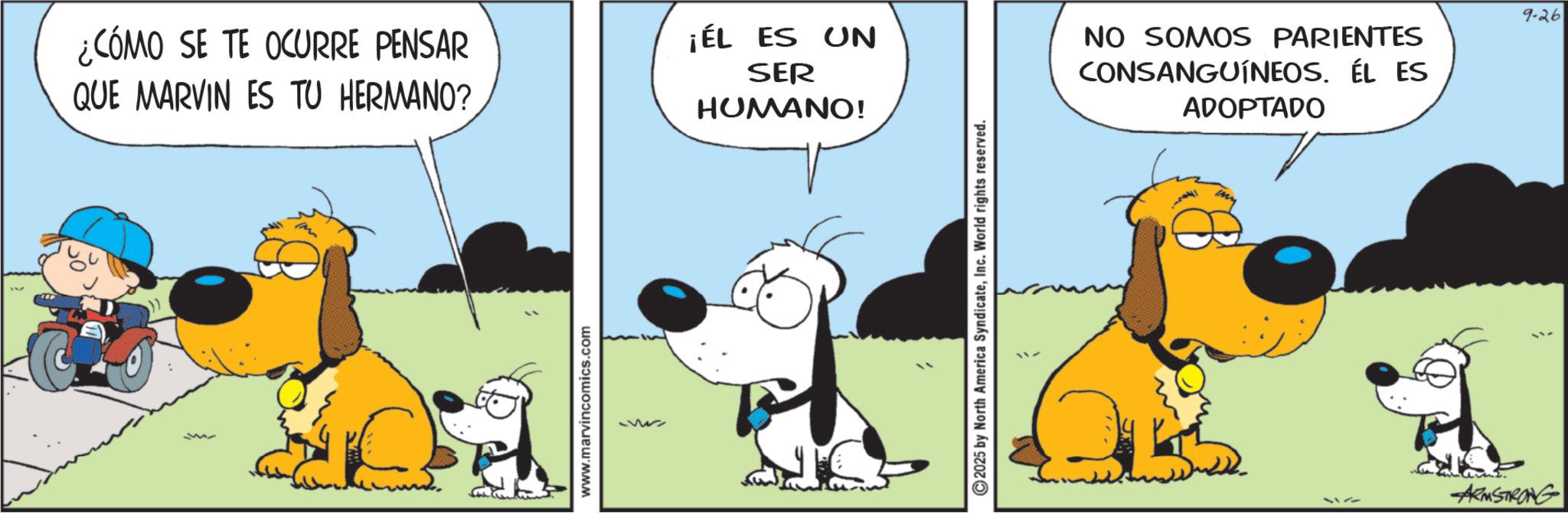Fictional character OCR: ¿CÓMO SE TE OCURRE PENSAR QUE MARVIN ES TU HERMANO? ¡ÉL ES UN SER HUMANO! C www.marvincomics.com 2025 by North America SyndicateInc. World rights reserved. NO SOMOS PARIENTES CONSANGUÍNEOS. ÉL ES ADOPTADO ARMSTRONG 9-26 ¿ CÓMO SE TE OCURRE PENSAR QUE MARVIN ES TU HERMANO ? ¡ ÉL ES UN SER HUMANO ! C www.marvincomics.com 2025 by North America SyndicateInc. World rights reserved . NO SOMOS PARIENTES CONSANGUÍNEOS . ÉL ES ADOPTADO ARMSTRONG 9-26