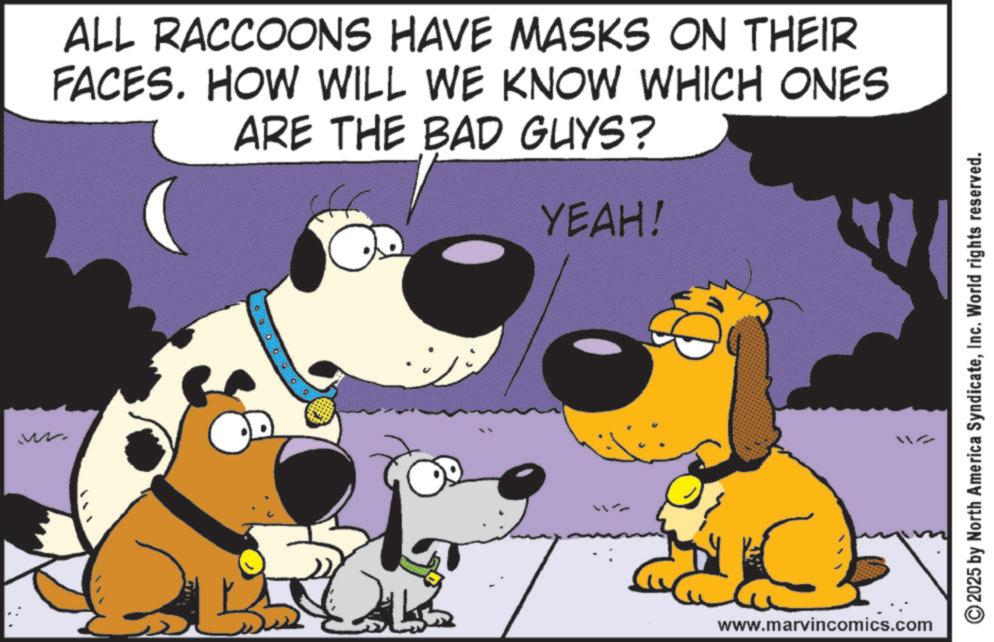 Fictional character OCR: wz ALL RACCOONS HAVE MASKS ON THEIR FACES. HOW WILL WE KNOW WHICH ONES ARE THE BAD GUYS? YEAH! w www.marvincomics.com ©2025 by North America SyndicateInc. World rights reserved. wz ALL RACCOONS HAVE MASKS ON THEIR FACES . HOW WILL WE KNOW WHICH ONES ARE THE BAD GUYS ? YEAH ! w www.marvincomics.com © 2025 by North America SyndicateInc. World rights reserved .
