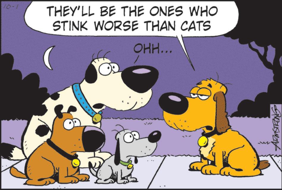 Fictional character OCR: 10-1 THEY'LL BE THE ONES WHO STINK WORSE THAN CATS OHH... Suzuswan 10-1 THEY'LL BE THE ONES WHO STINK WORSE THAN CATS OHH ... Suzuswan