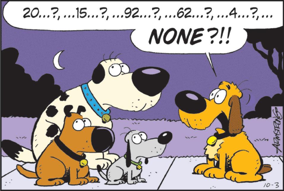 Canidae OCR: 20...?... NONE?!! 10-3 20 ... ?... 15 ... ?.92 ?62. ?... 4 ... ?... NONE ? !! 10-3