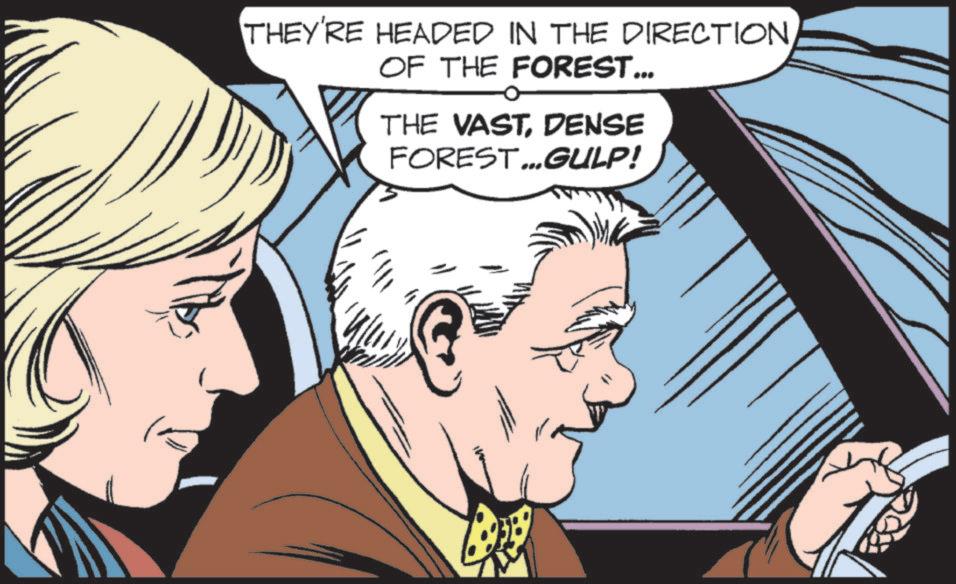 Hearing OCR: THEY'RE HEADED IN THE DIRECTIONOF THE FOREST... THE VASTDENSE FOREST...GULP! THEY'RE HEADED IN THE DIRECTIONOF THE FOREST ... THE VASTDENSE FOREST ... GULP !
