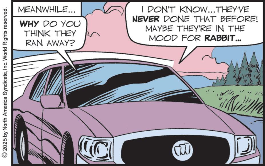 Personal luxury car OCR: © 2025 by North America SyndicateInc. World Rights reserved. MEANWHILE... WHY DO YOU THINK THEY RAN AWAY? I DON'T KNOW...THEY'VE NEVER DONE THAT BEFORE! MAYBE THEY'RE IN THE MOOD FOR RABBIT... ww 174 © 2025 by North America SyndicateInc. World Rights reserved . MEANWHILE ... WHY DO YOU THINK THEY RAN AWAY ? I DON'T KNOW ... THEY'VE NEVER DONE THAT BEFORE ! MAYBE THEY'RE IN THE MOOD FOR RABBIT ... ww 174