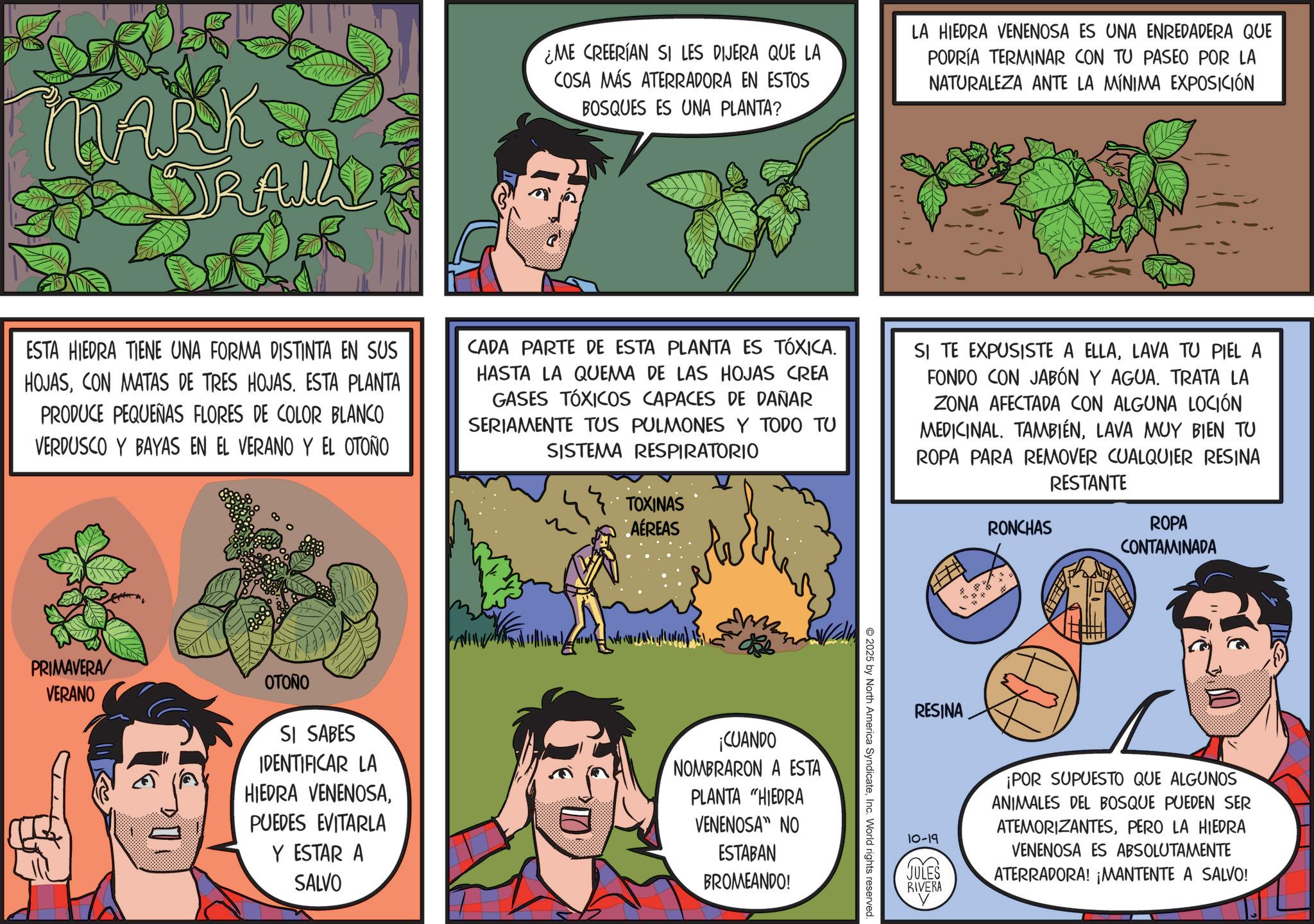 Publication OCR: RAILS ¿ME CREERÍAN SI LES DIJERA QUE LA COSA MÁS ATERRADORA EN ESTOS BOSQUES ES UNA PLANTA? LA HIEDRA VENENOSA ES UNA ENREDADERA QUE PODRÍA TERMINAR CON TU PASEO POR LA NATURALEZA ANTE LA MÍNIMA EXPOSICIÓN ESTA HIEDRA TIENE UNA FORMA DISTINTA EN SUS HOJASCON MATAS DE TRES HOJAS. ESTA PLANTA PRODUCE PEQUEÑAS FLORES DE COLOR BLANCO VERDUSCO Y BAYAS EN EL VERANO Y EL OTOÑO CADA PARTE DE ESTA PLANTA ES TÓXICA. HASTA LA QUEMA DE LAS HOJAS CREA GASES TÓXICOS CAPACES DE DAÑAR SERIAMENTE TUS PULMONES Y TODO TU SISTEMA RESPIRATORIO TOXINAS AÉREAS SI TE EXPUSISTE A ELLALAVA TU PIEL A FONDO CON JABÓN Y AGUA. TRATA LA ZONA AFECTADA CON ALGUNA LOCIÓN MEDICINAL. TAMBIÉNLAVA MUY BIEN TU ROPA PARA REMOVER CUALQUIER RESINA RESTANTE RONCHAS ROPA CONTAMINADA PRIMAVERA/ VERANO OTONO SI SABES IDENTIFICAR LA HIEDRA VENENOSAPUEDES EVITARLA Y ESTAR A SALVO ¡CUANDO NOMBRARON A ESTA PLANTA "HIEDRA VENENOSA" NO ESTABAN BROMEANDO! 2025 by North America SyndicateInc. World rights reserved. RESINA 10-19 JULES RIVERA ¡POR SUPUESTO QUE ALGUNOS ANIMALES DEL BOSQUE PUEDEN SER ATEMORIZANTESPERO LA HIEDRA VENENOSA ES ABSOLUTAMENTE ATERRADORA! ¡MANTENTE A SALVO! RAILS ¿ ME CREERÍAN SI LES DIJERA QUE LA COSA MÁS ATERRADORA EN ESTOS BOSQUES ES UNA PLANTA ? LA HIEDRA VENENOSA ES UNA ENREDADERA QUE PODRÍA TERMINAR CON TU PASEO POR LA NATURALEZA ANTE LA MÍNIMA EXPOSICIÓN ESTA HIEDRA TIENE UNA FORMA DISTINTA EN SUS HOJASCON MATAS DE TRES HOJAS . ESTA PLANTA PRODUCE PEQUEÑAS FLORES DE COLOR BLANCO VERDUSCO Y BAYAS EN EL VERANO Y EL OTOÑO CADA PARTE DE ESTA PLANTA ES TÓXICA . HASTA LA QUEMA DE LAS HOJAS CREA GASES TÓXICOS CAPACES DE DAÑAR SERIAMENTE TUS PULMONES Y TODO TU SISTEMA RESPIRATORIO TOXINAS AÉREAS SI TE EXPUSISTE A ELLALAVA TU PIEL A FONDO CON JABÓN Y AGUA . TRATA LA ZONA AFECTADA CON ALGUNA LOCIÓN MEDICINAL . TAMBIÉNLAVA MUY BIEN TU ROPA PARA REMOVER CUALQUIER RESINA RESTANTE RONCHAS ROPA CONTAMINADA PRIMAVERA / VERANO OTONO SI SABES IDENTIFICAR LA HIEDRA VENENOSAPUEDES EVITARLA Y ESTAR A SALVO ¡ CUANDO NOMBRARON A ESTA PLANTA " HIEDRA VENENOSA " NO ESTABAN BROMEANDO ! 2025 by North America SyndicateInc. World rights reserved . RESINA 10-19 JULES RIVERA ¡ POR SUPUESTO QUE ALGUNOS ANIMALES DEL BOSQUE PUEDEN SER ATEMORIZANTESPERO LA HIEDRA VENENOSA ES ABSOLUTAMENTE ATERRADORA ! ¡ MANTENTE A SALVO !