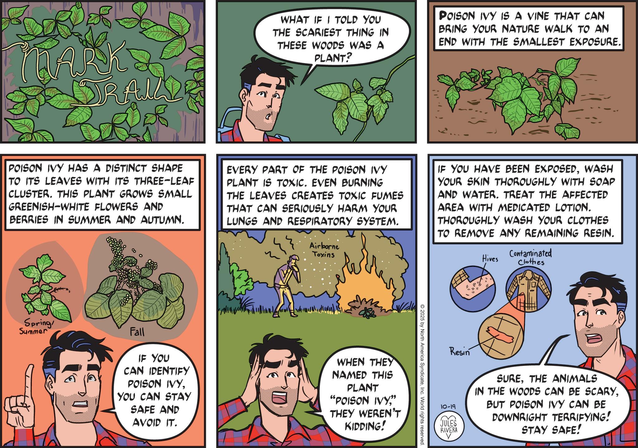 Comic book OCR: DRA WHAT IF I TOLD YOU THE SCARIEST THING IN THESE WOODS WAS A PLANT? POISON IVY IS A VINE THAT CAN BRING YOUR NATURE WALK TO AN END WITH THE SMALLEST EXPOSURE. POISON IVY HAS A DISTINCT SHAPE TO ITS LEAVES WITH ITS THREE-LEAF CLUSTER. THIS PLANT GROWS SMALL GREENISH-WHITE FLOWERS AND BERRIES IN SUMMER AND AUTUMN. EVERY PART OF THE POISON IVY PLANT IS TOXIC. EVEN BURNING THE LEAVES CREATES TOXIC FUMES THAT CAN SERIOUSLY HARM YOUR LUNGS AND RESPIRATORY SYSTEM. Airborne Toxins IF YOU HAVE BEEN EXPOSEDWASH YOUR SKIN THOROUGHLY WITH SOAP AND WATER. TREAT THE AFFECTED AREA WITH MEDICATED LOTION. THOROUGHLY WASH YOUR CLOTHES TO REMOVE ANY REMAINING RESIN. Hives Contaminated Clothes Spring Summer Fall IF YOU CAN IDENTIFY POISON IVYYOU CAN STAY SAFE AND AVOID IT. WHEN THEY NAMED THIS PLANT "POISON IVY”" THEY WEREN'T KIDDING! 2025 by North America SyndicateInc. World rights reserved. Resin 10-19 JULES RIVERA SURETHE ANIMALS IN THE WOODS CAN BE SCARYBUT POISON IVY CAN BE DOWNRIGHT TERRIFYING! STAY SAFE! DRA WHAT IF I TOLD YOU THE SCARIEST THING IN THESE WOODS WAS A PLANT ? POISON IVY IS A VINE THAT CAN BRING YOUR NATURE WALK TO AN END WITH THE SMALLEST EXPOSURE . POISON IVY HAS A DISTINCT SHAPE TO ITS LEAVES WITH ITS THREE - LEAF CLUSTER . THIS PLANT GROWS SMALL GREENISH - WHITE FLOWERS AND BERRIES IN SUMMER AND AUTUMN . EVERY PART OF THE POISON IVY PLANT IS TOXIC . EVEN BURNING THE LEAVES CREATES TOXIC FUMES THAT CAN SERIOUSLY HARM YOUR LUNGS AND RESPIRATORY SYSTEM . Airborne Toxins IF YOU HAVE BEEN EXPOSEDWASH YOUR SKIN THOROUGHLY WITH SOAP AND WATER . TREAT THE AFFECTED AREA WITH MEDICATED LOTION . THOROUGHLY WASH YOUR CLOTHES TO REMOVE ANY REMAINING RESIN . Hives Contaminated Clothes Spring Summer Fall IF YOU CAN IDENTIFY POISON IVYYOU CAN STAY SAFE AND AVOID IT . WHEN THEY NAMED THIS PLANT " POISON IVY” " THEY WEREN'T KIDDING ! 2025 by North America SyndicateInc. World rights reserved . Resin 10-19 JULES RIVERA SURETHE ANIMALS IN THE WOODS CAN BE SCARYBUT POISON IVY CAN BE DOWNRIGHT TERRIFYING ! STAY SAFE !