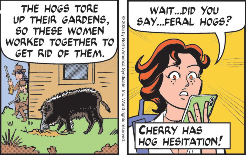 Canidae OCR: THE HOGS TORE UP THEIR GARDENSSO THESE WOMEN WORKED TOGETHER TO GET RID OF THEM. WAIT...DID YOU SAY...FERAL HOGS? © 2025 by North America SyndicateInc. World rights reserved. CHERRY HAS HOG HESITATION! THE HOGS TORE UP THEIR GARDENSSO THESE WOMEN WORKED TOGETHER TO GET RID OF THEM . WAIT ... DID YOU SAY ... FERAL HOGS ? © 2025 by North America SyndicateInc. World rights reserved . CHERRY HAS HOG HESITATION !