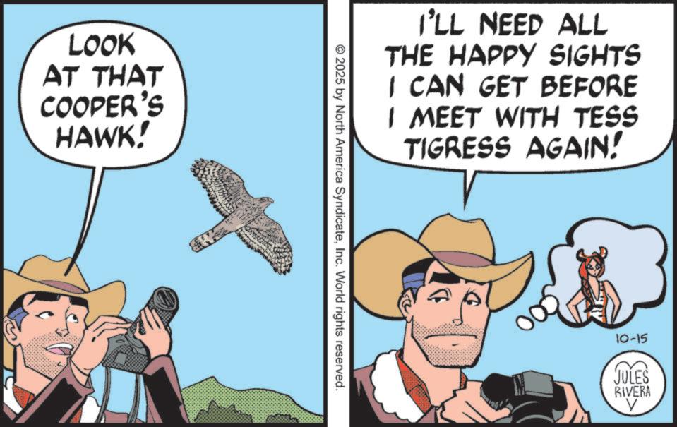 Animation OCR: LOOK AT THAT COOPER'S HAWK! I'LL NEED ALL THE HAPPY SIGHTS I CAN GET BEFORE I MEET WITH TESS TIGRESS AGAIN! © 2025 by North America SyndicateInc. World rights reserved. 10-15 JULES RIVERA LOOK AT THAT COOPER'S HAWK ! I'LL NEED ALL THE HAPPY SIGHTS I CAN GET BEFORE I MEET WITH TESS TIGRESS AGAIN ! © 2025 by North America SyndicateInc. World rights reserved . 10-15 JULES RIVERA