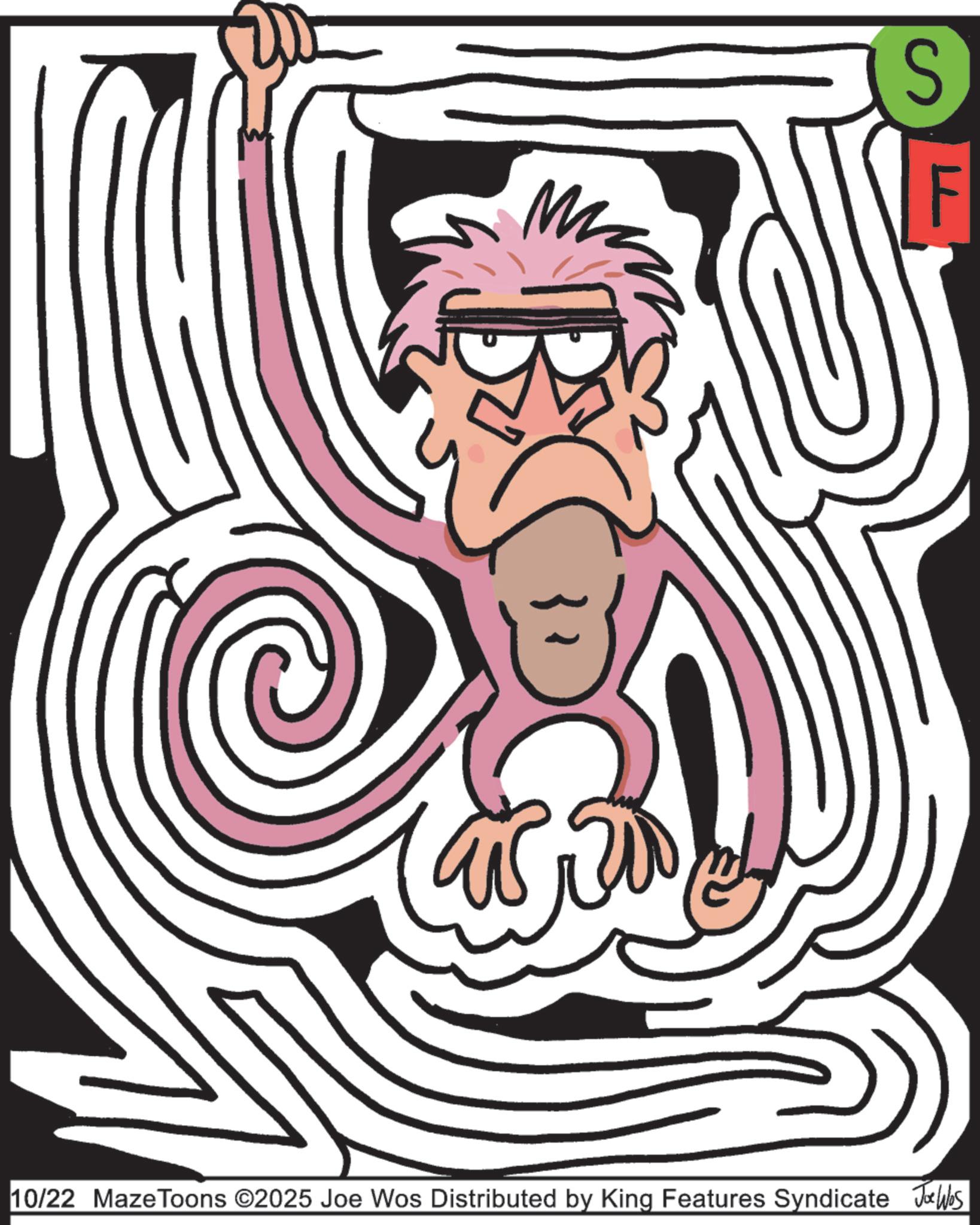 Line art OCR: LL M S B 10/22 Maze Toons ©2025 Joe Wos Distributed by King Features Syndicate Jobs LL M S B 10/22 Maze Toons © 2025 Joe Wos Distributed by King Features Syndicate Jobs