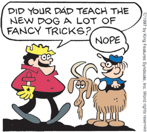 Photo caption OCR: 1997 by King Features SyndicateInc. World rights reserved. NOPE DID YOUR DAD TEACH THE NEW DOG A LOT OF FANCY TRICKS? H 1997 by King Features SyndicateInc. World rights reserved . NOPE DID YOUR DAD TEACH THE NEW DOG A LOT OF FANCY TRICKS ? H