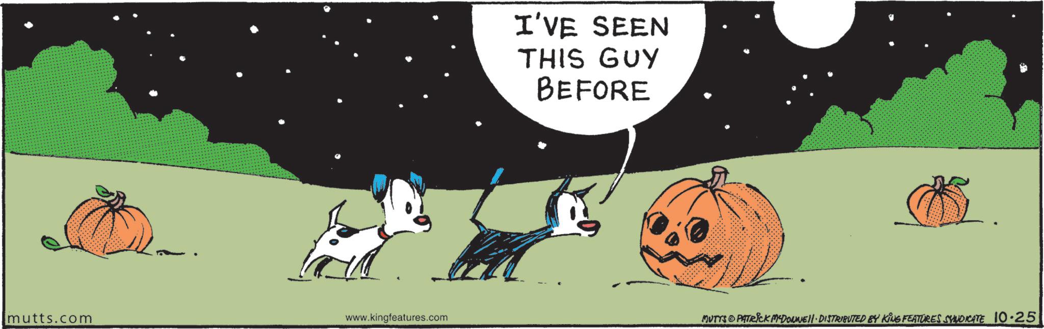 Winter squash OCR: I'VE SEEN THIS GUY BEFORE mutts.com www.kingfeatures.com MUTTS PATRICK MCDONNELL DISTRIBUTED BY KING FEATURES SYNDICATE 10.25 I'VE SEEN THIS GUY BEFORE mutts.com www.kingfeatures.com MUTTS PATRICK MCDONNELL DISTRIBUTED BY KING FEATURES SYNDICATE 10.25