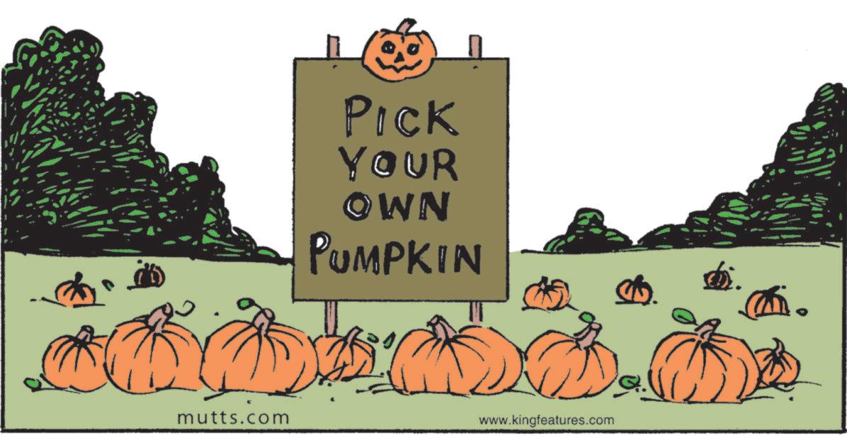 Clip art OCR: Pick YOUR OWN PUMPKIN mutts.com www.kingfeatures.com Pick YOUR OWN PUMPKIN mutts.com www.kingfeatures.com
