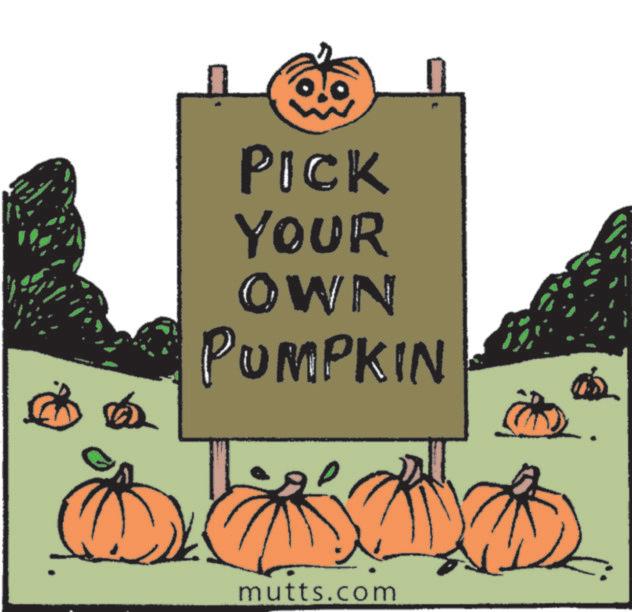 Cucurbits OCR: ? PICK YOUR OWN PUMPKIN mutts.com ? PICK YOUR OWN PUMPKIN mutts.com