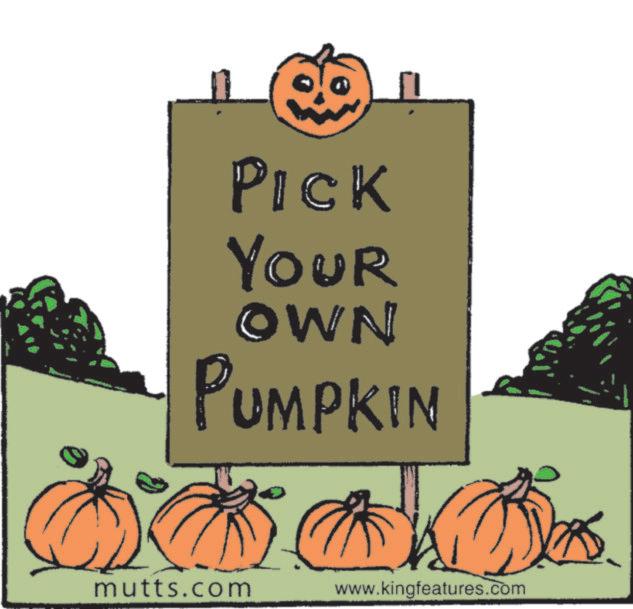 Poster OCR: Pick CK YOUR OWN PUMPKIN mutts.com www.kingfeatures.com Pick CK YOUR OWN PUMPKIN mutts.com www.kingfeatures.com