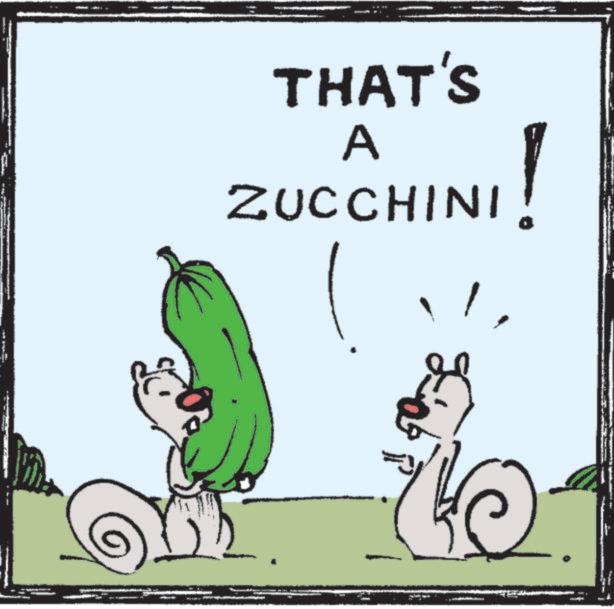 Clip art OCR: THAT'S ZUCCHINI ! THAT'S ZUCCHINI !