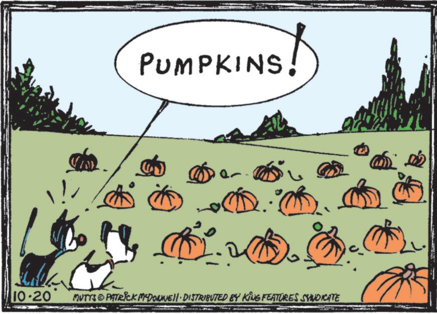 Produce OCR: PUMPKINS! en 2:0 10-20 MUTTS PATRICK MYDONNELL DISTRIBUTED BY KING FEATURES SYNDICATE PUMPKINS ! en 2 : 0 10-20 MUTTS PATRICK MYDONNELL DISTRIBUTED BY KING FEATURES SYNDICATE