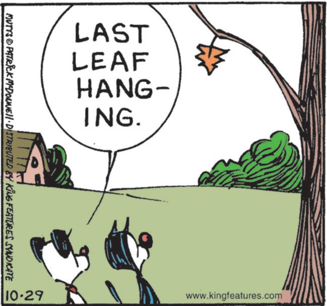 Comics OCR: LAST LEAF HANG- ING. MUTTS © PATRICK MYDONNE DISTRIBUTED BY KING FEATURES SYNDICATE 10.29 www.kingfeatures.com LAST LEAF HANG- ING . MUTTS © PATRICK MYDONNE DISTRIBUTED BY KING FEATURES SYNDICATE 10.29 www.kingfeatures.com