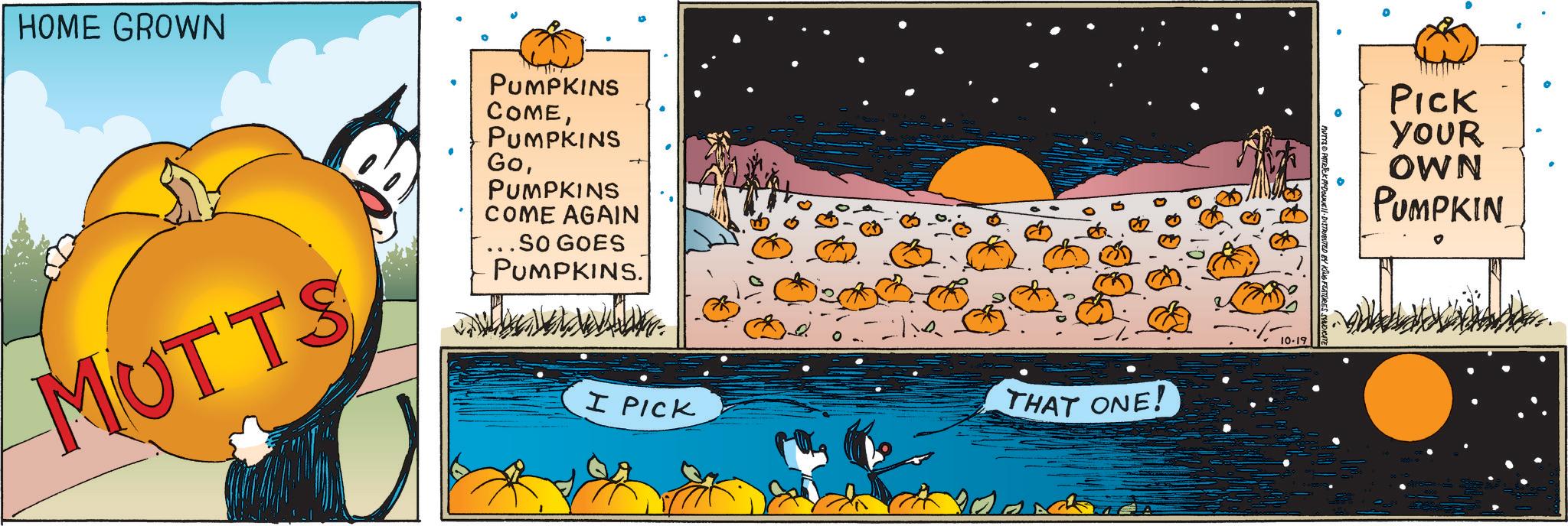 Cucurbits OCR: HOME GROWN MUTTS PUMPKINS COMEPUMPKINS GoPUMPKINS COME AGAIN .SO GOES PUMPKINS. I PICK THAT ONE! MUTYS & PATRICK ASDOWNE DISTRIBUTED BY KING FEATURES SYNDICAT 10-19 Pick YOUR OWN PUMPKIN HOME GROWN MUTTS PUMPKINS COMEPUMPKINS GoPUMPKINS COME AGAIN .SO GOES PUMPKINS . I PICK THAT ONE ! MUTYS & PATRICK ASDOWNE DISTRIBUTED BY KING FEATURES SYNDICAT 10-19 Pick YOUR OWN PUMPKIN