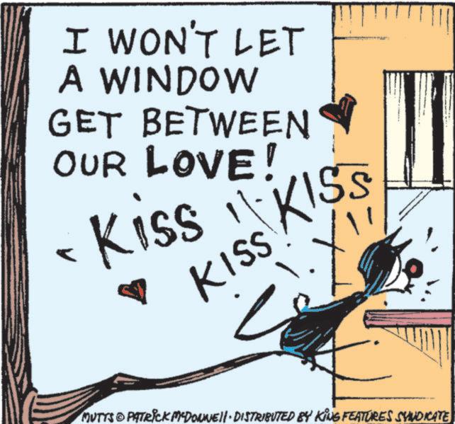 Fiction OCR: I WON'T LET A WINDOW GET BETWEEN OUR LOVE! Kiss KISS ? KISS ? MUTTS © PATRICK MCDONNEll · DISTRIBUTED BY KING FEATURES SYNDICATE I WON'T LET A WINDOW GET BETWEEN OUR LOVE ! Kiss KISS ? KISS ? MUTTS © PATRICK MCDONNEll · DISTRIBUTED BY KING FEATURES SYNDICATE