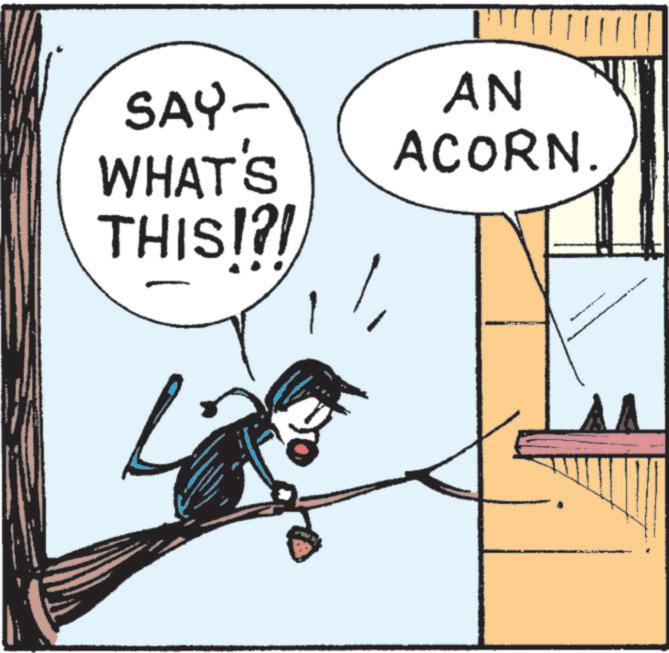 Animated cartoon OCR: SAY- AN WHAT'S THIS!?! ACORN. SAY- AN WHAT'S THIS ! ? ! ACORN .