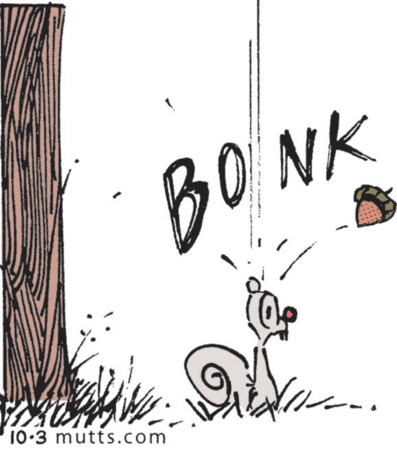 Line art OCR: 10.3 mutts.com BONK 10.3 mutts.com BONK