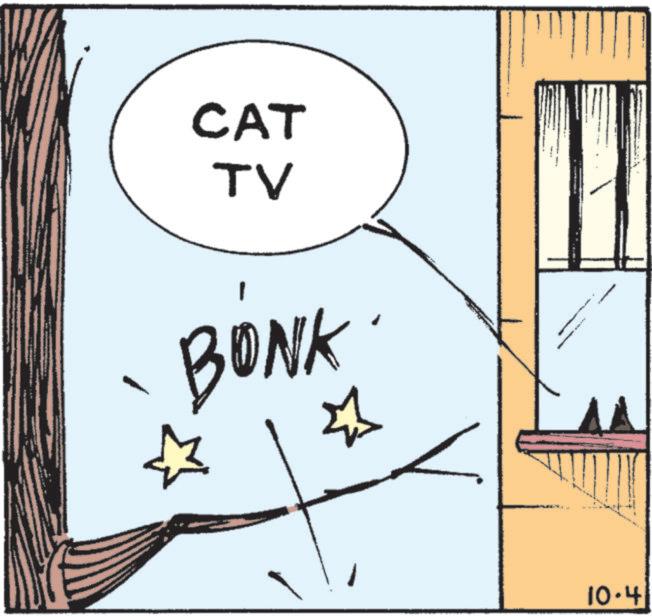 Photo caption OCR: ? CAT TV BONK TH 10.4 ? CAT TV BONK TH 10.4