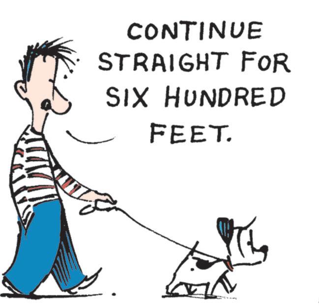 Working animal OCR: CONTINUE STRAIGHT FOR SIX HUNDRED FEET. CONTINUE STRAIGHT FOR SIX HUNDRED FEET .