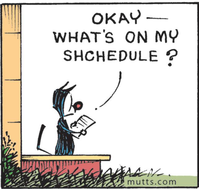Fiction OCR: OKAY WHAT'S ON MY SHCHEDULE ? mutts.com OKAY WHAT'S ON MY SHCHEDULE ? mutts.com