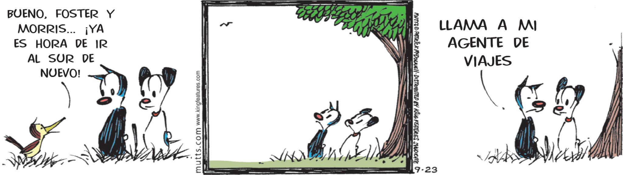 Animated cartoon OCR: BUENOFOSTER Y MORRIS... ¡YA ES HORA DE IR AL SUR DE NUEVO! mutts.com www.kingfeatures.com MUTYS PATRICK MADONNELL DISTRIBUTED BY KING FEATURES SYNDICATE 9-23 LLAMA A MI AGENTE DE VIAJES BUENOFOSTER Y MORRIS ... ¡ YA ES HORA DE IR AL SUR DE NUEVO ! mutts.com www.kingfeatures.com MUTYS PATRICK MADONNELL DISTRIBUTED BY KING FEATURES SYNDICATE 9-23 LLAMA A MI AGENTE DE VIAJES